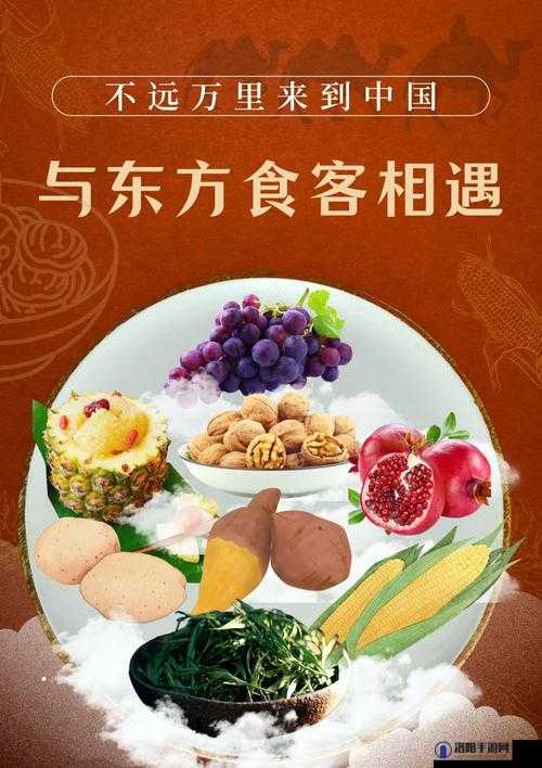 炖肉计是今海棠：探究美食背后的文化与情感