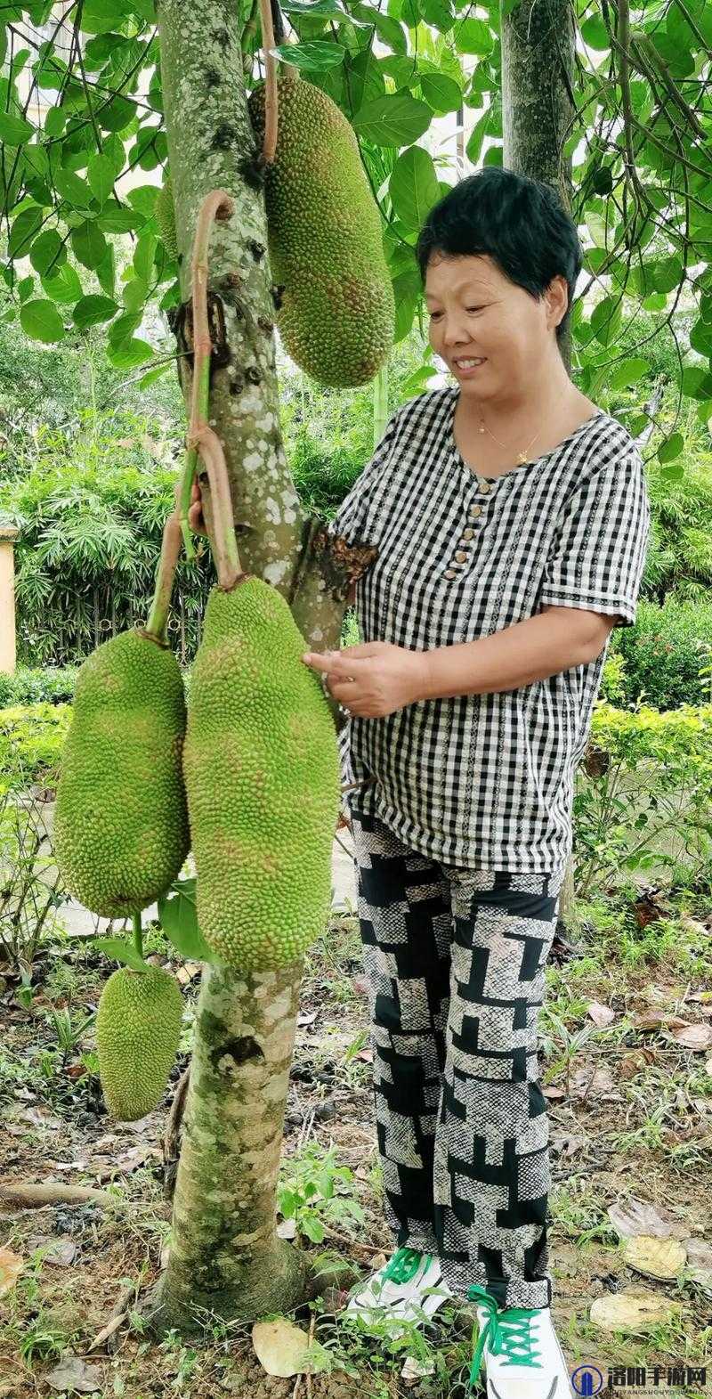 菠萝蜜视频在线观看国际：带你领略丰富多彩的视频世界