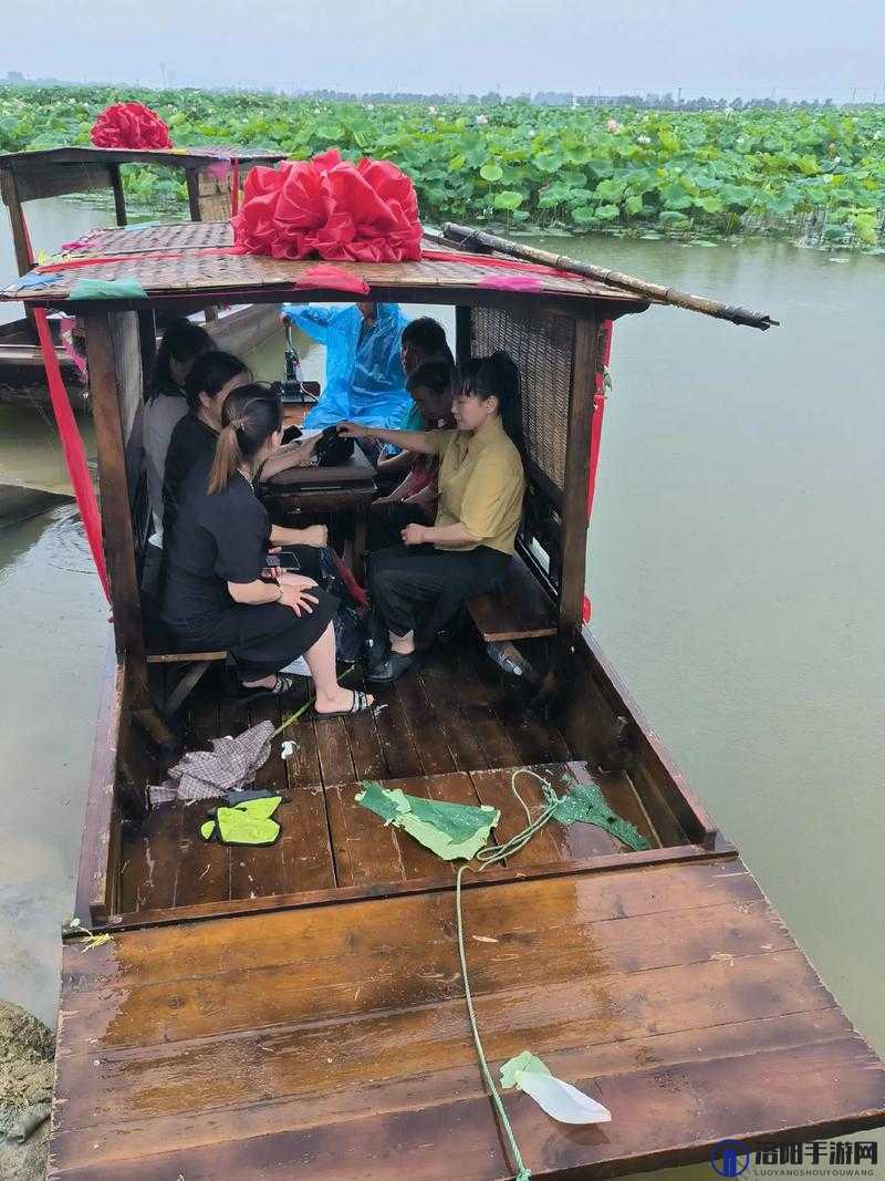 老人船上弄雨荷第十二集：雨中荷花别样红