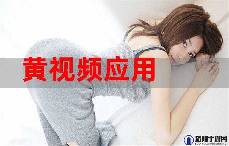 麻豆视传媒 app 黄：打造优质成人内容的视频平台