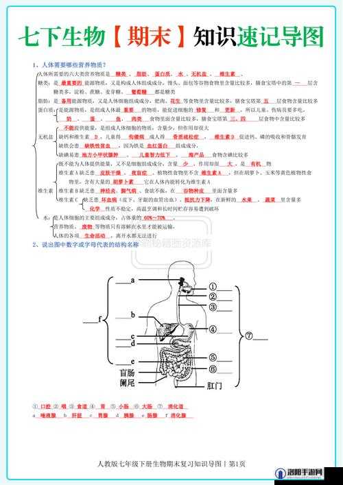 生物老师以自身为例讲解繁衍的意义与过程