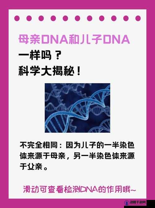 母亲 DNA 和儿子 DNA 一样不：探究亲子遗传的深层奥秘