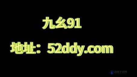 九幺黄 9·1 安装相关内容及详细解析