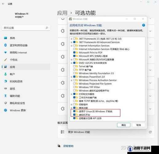 Windows 11安卓子系统详细安装步骤与教程指南