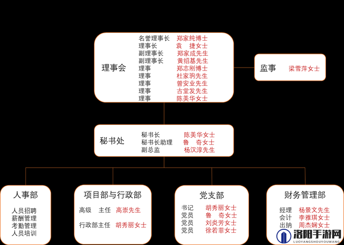 以下哪一项是基金会的组织特点：深度解析与探讨