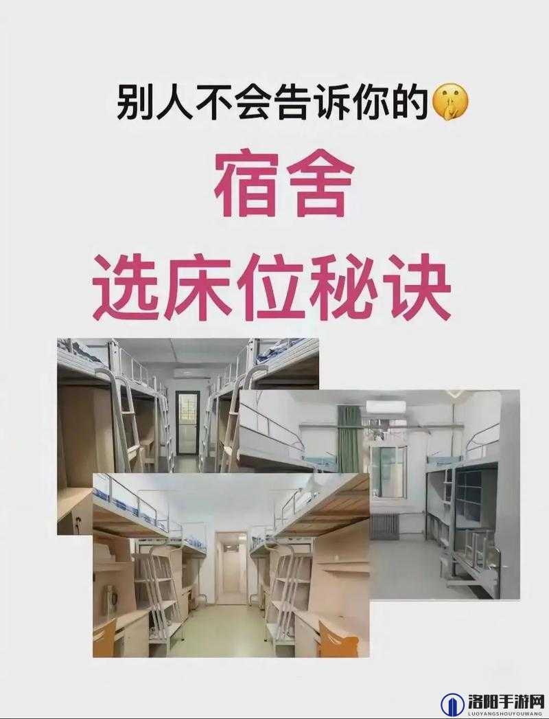 双点校园挑选宿舍床位的技巧：位置光线与空间重要性解析