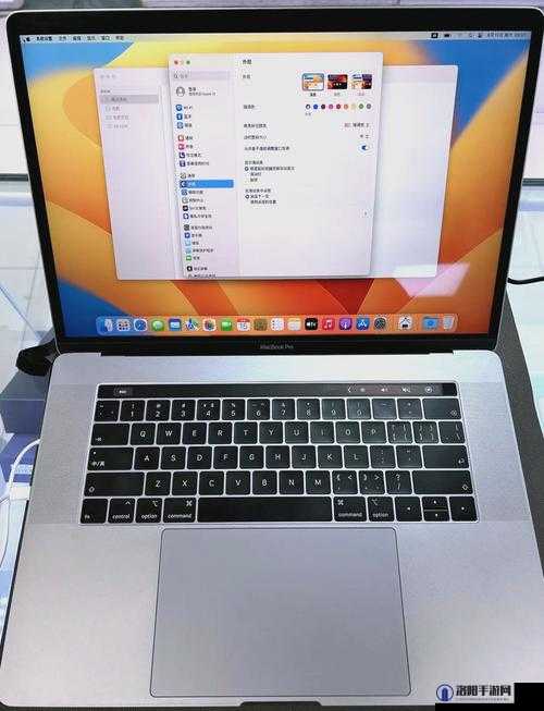 19 岁拥有的那台独特的 MACBOOKPRO 欧美本