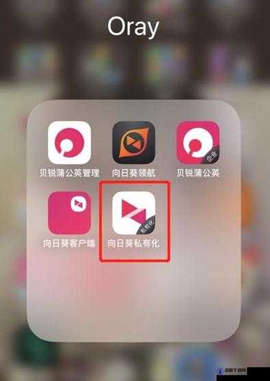 向日葵 app 官方下载网址进入 ios 破解版要收费？官方：破解版可能存在安全风险