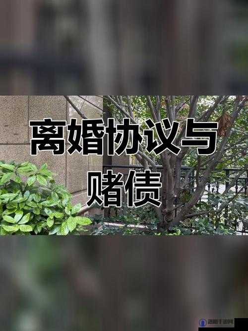 二婚后前夫回归引发的复杂情感纠葛：1v2 的情感拉锯战