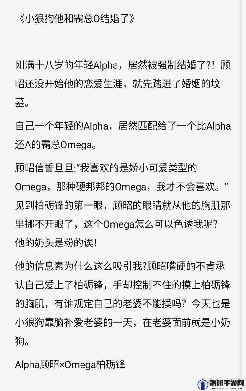 几个 ALPHA 共享 OMEGA 车：探索未来出行的新模式