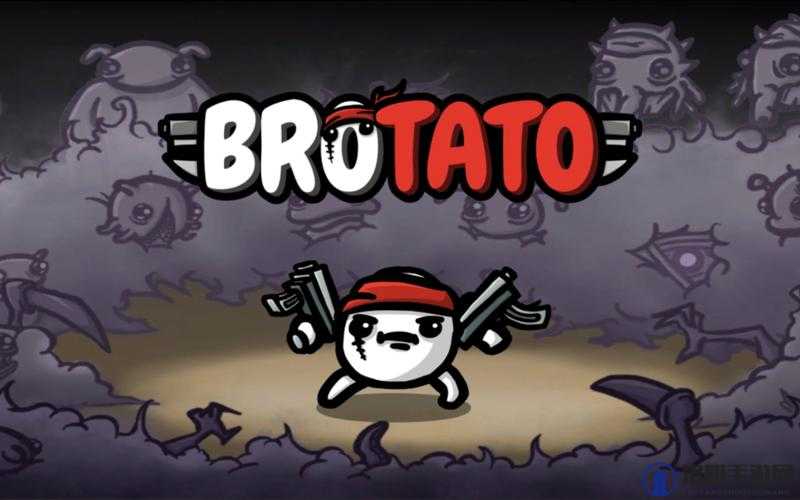 Brotato 游戏：独特玩法与精彩冒险等你来探索