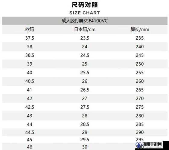 欧洲尺码与日本尺码对比专线：深入剖析差异之径