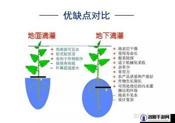 精准灌溉系统 NPC 对农业发展的重要作用及影响分析