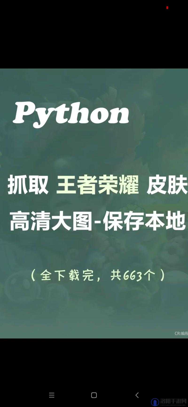 王者荣耀小虎集市2.7版本代码深度解析，揭秘获取稀有皮肤的秘诀