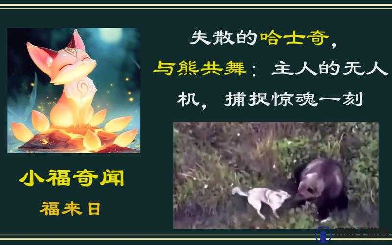 python 人狗：跨越物种的友谊