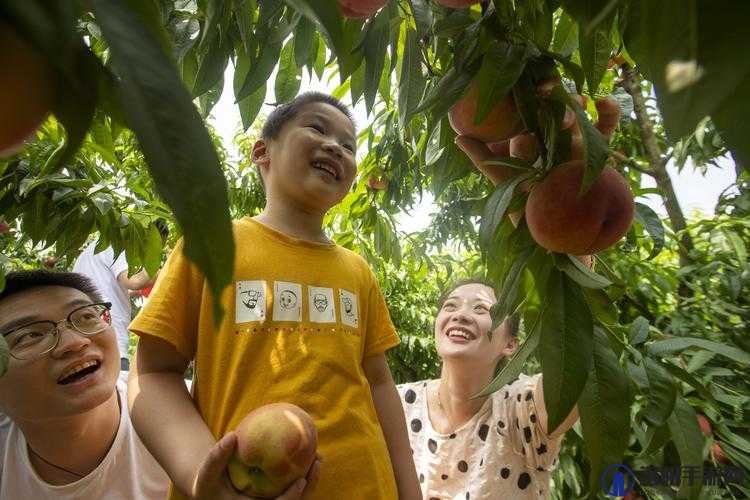 香蕉苹果水蜜桃丝瓜视频无收费限制：畅享海量精彩资源