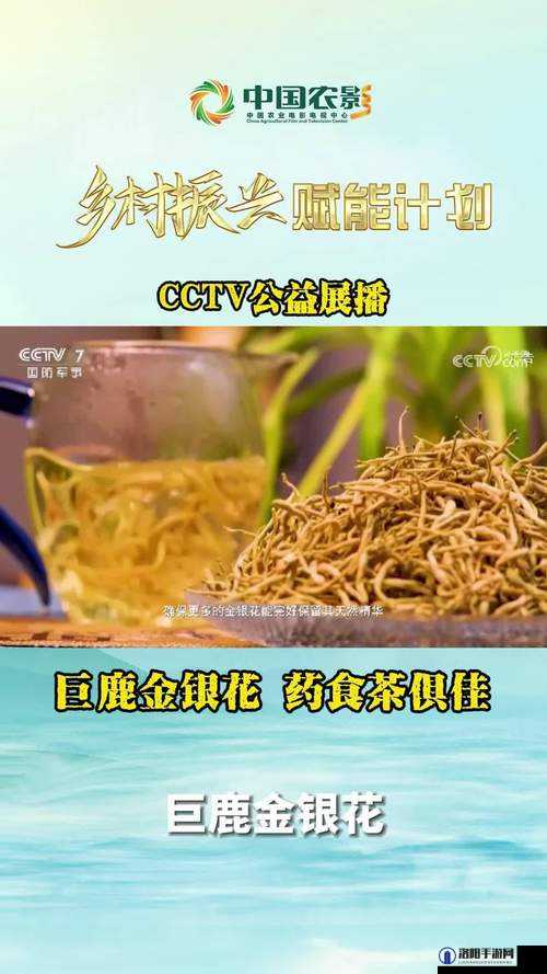 关于金银花的过度开发对环境造成的严重影响