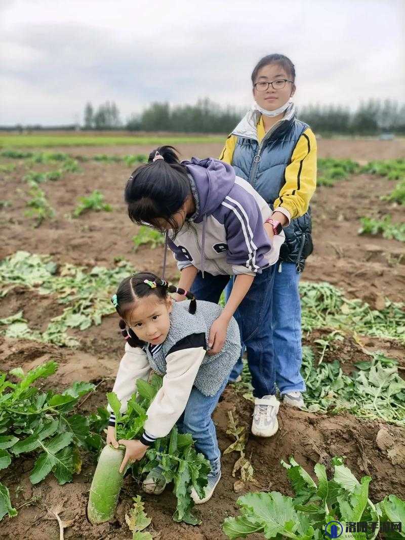 拔萝卜免费高清下载：体验纯真乐趣，尽在高清世界