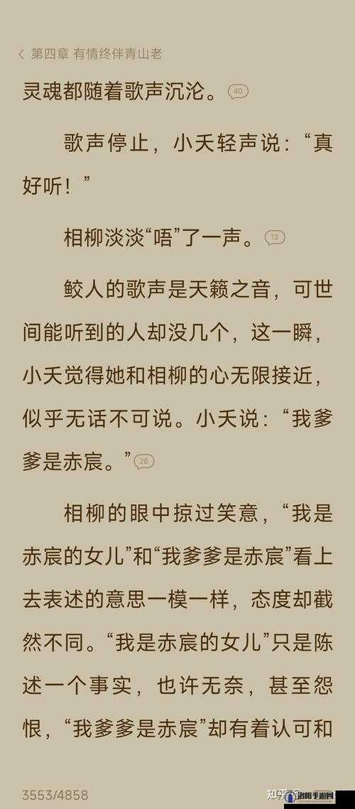 小夭堕落之极致快感的沉沦故事