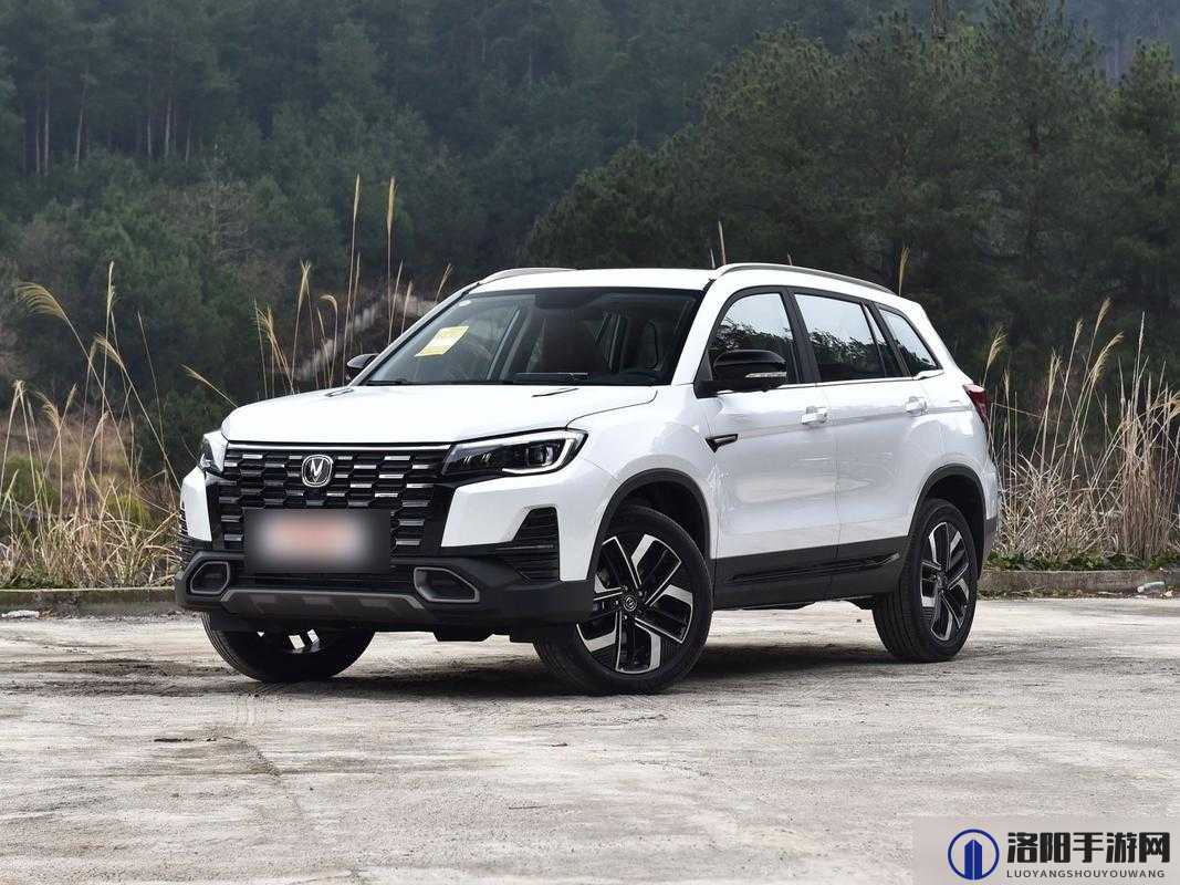 久免费一级 SUV 好看的国产：国产 SUV 之翘楚尽显魅力