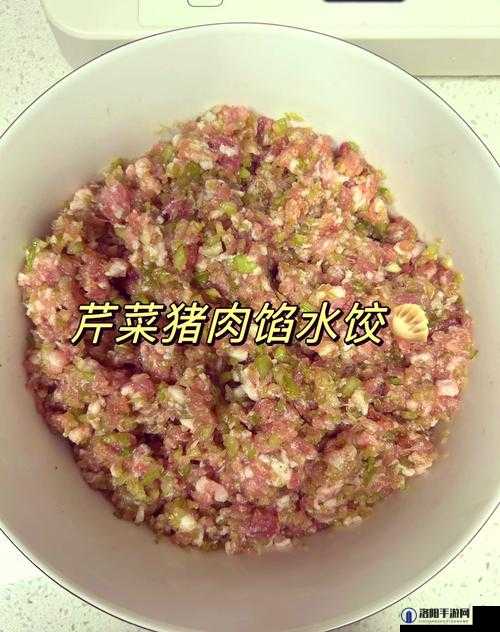 课后辅导 po 肉馅小水饺的教学方法：从和面到包制，一步步教你制作美味水饺