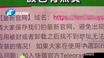 快猫网站换成多少了：探究其背后的原因和影响