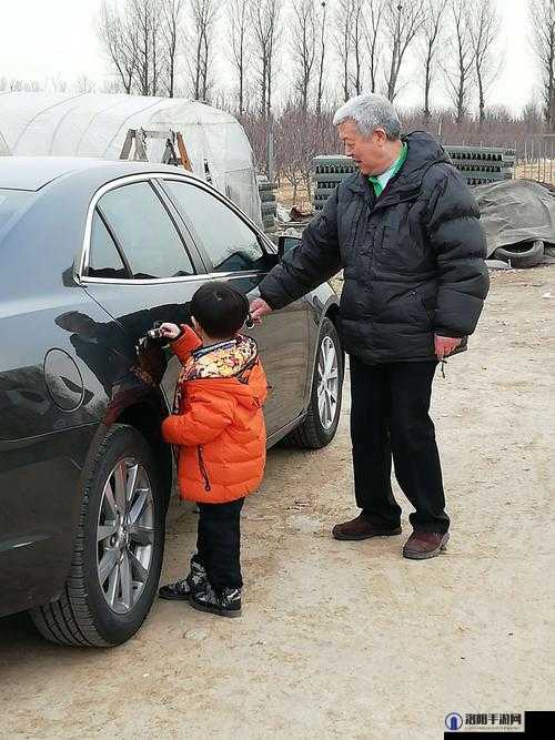 门房秦大爷的幸福生活 1 到 100 集：展现平凡人生的多彩与温馨