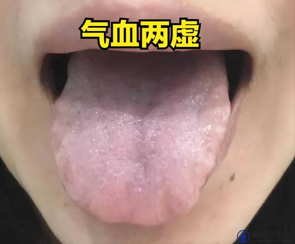 热伸着舌头快速喘气，这是怎么了？