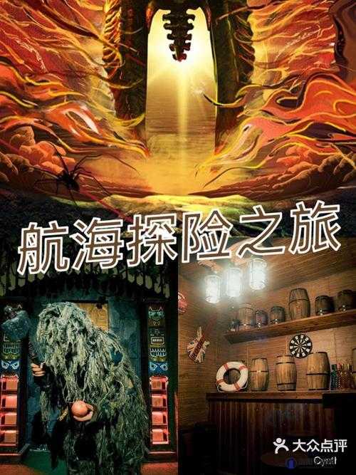 探索神秘无人区：一码二码三码 4 码区的未知世界