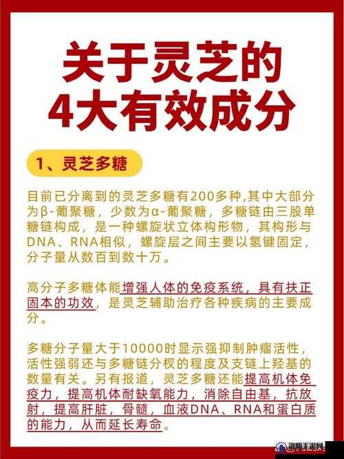 gy2024 钙：关于它的成分作用及适用人群的深入探讨