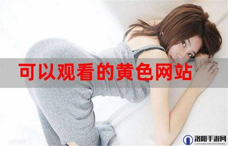 免费网站在线观看人数在哪买：详细途径与渠道分析