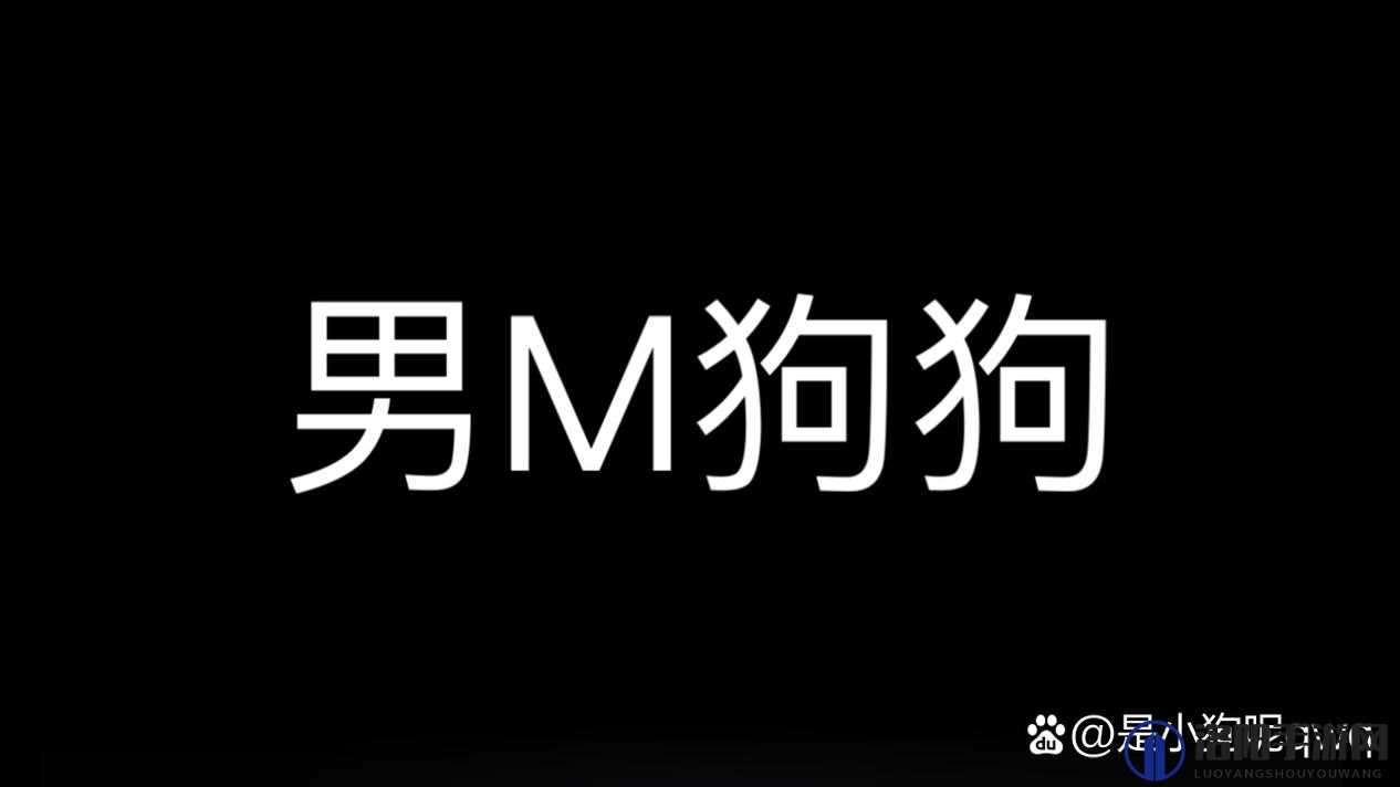 S 如何调 M 小狗：探寻调教过程中的技巧与方法