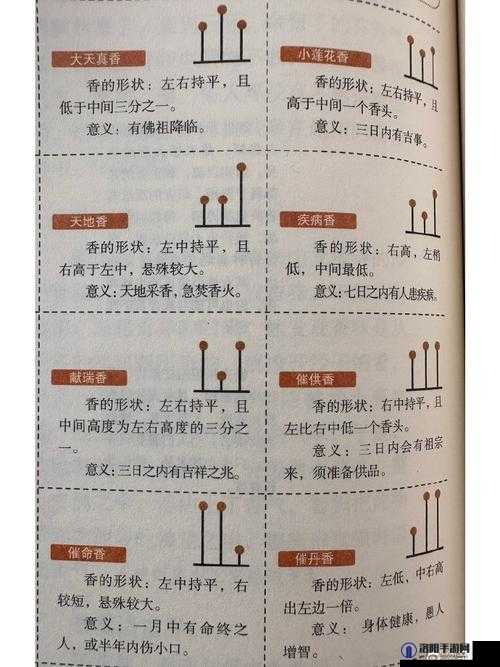 大香煮2024一人一煮使用方法详细介绍及注意事项