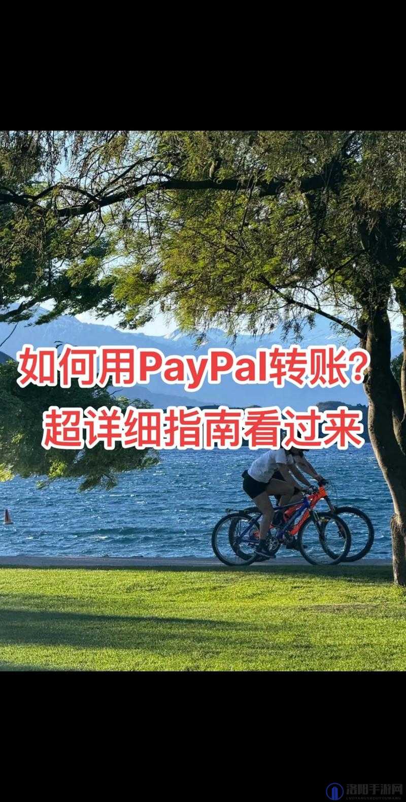 Paypal 未满十八岁怎么开：全面解析与相关指南