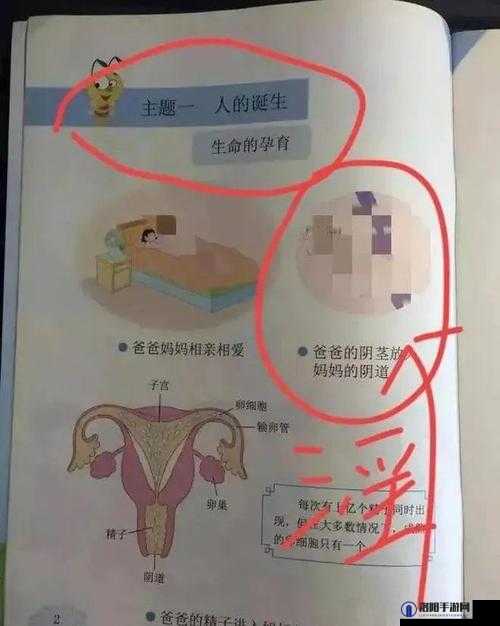 落体女生污污污：是意外还是另有隐情？