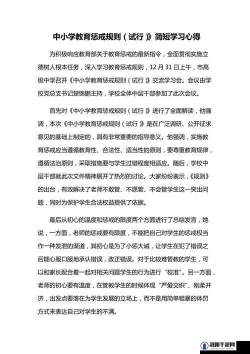 惩戒 2~狂热的从业指导 1-4：专业指引，助你在行业中稳步前行