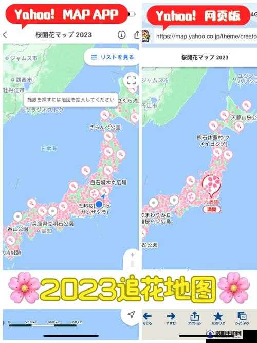 樱花官方正版官网入口 2023：提供最优质的服务与体验