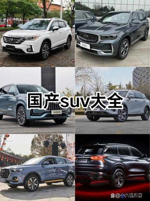 国产 SUV 精二区 69：家用与越野的完美结合