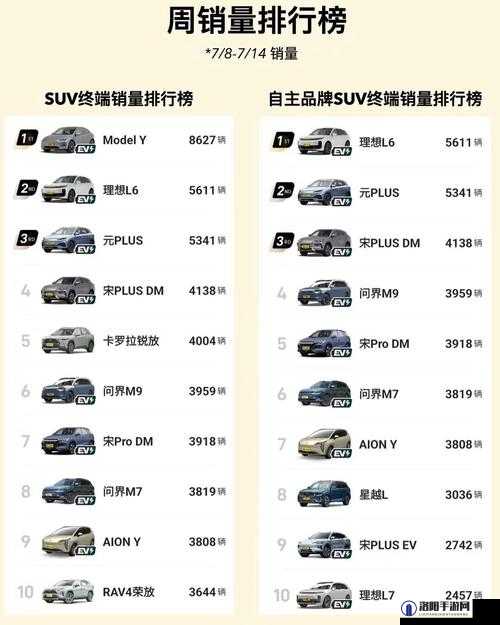 497799 欧洲版国产 SUV：家庭出行的绝佳选择