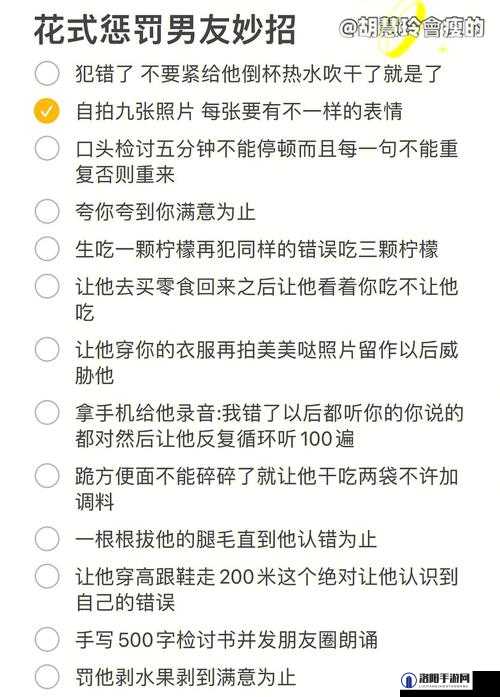 S 惩罚任务清单：挑战自我的趣味与约束