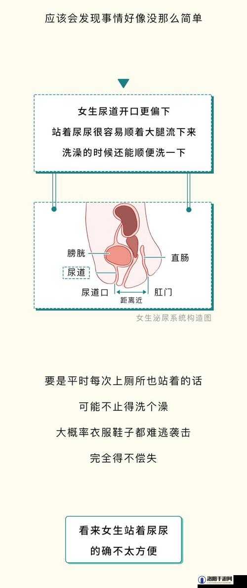 关于尿交 videos 性另类 HD 的独特呈现与解读