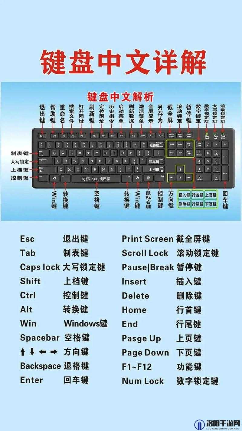 死亡国度PC版全面键盘按键操作指南与说明详解