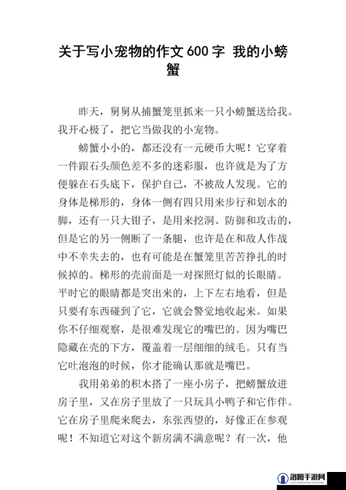 班级的公共宠物小诗班级宠物带来的欢乐与温馨和美好记忆