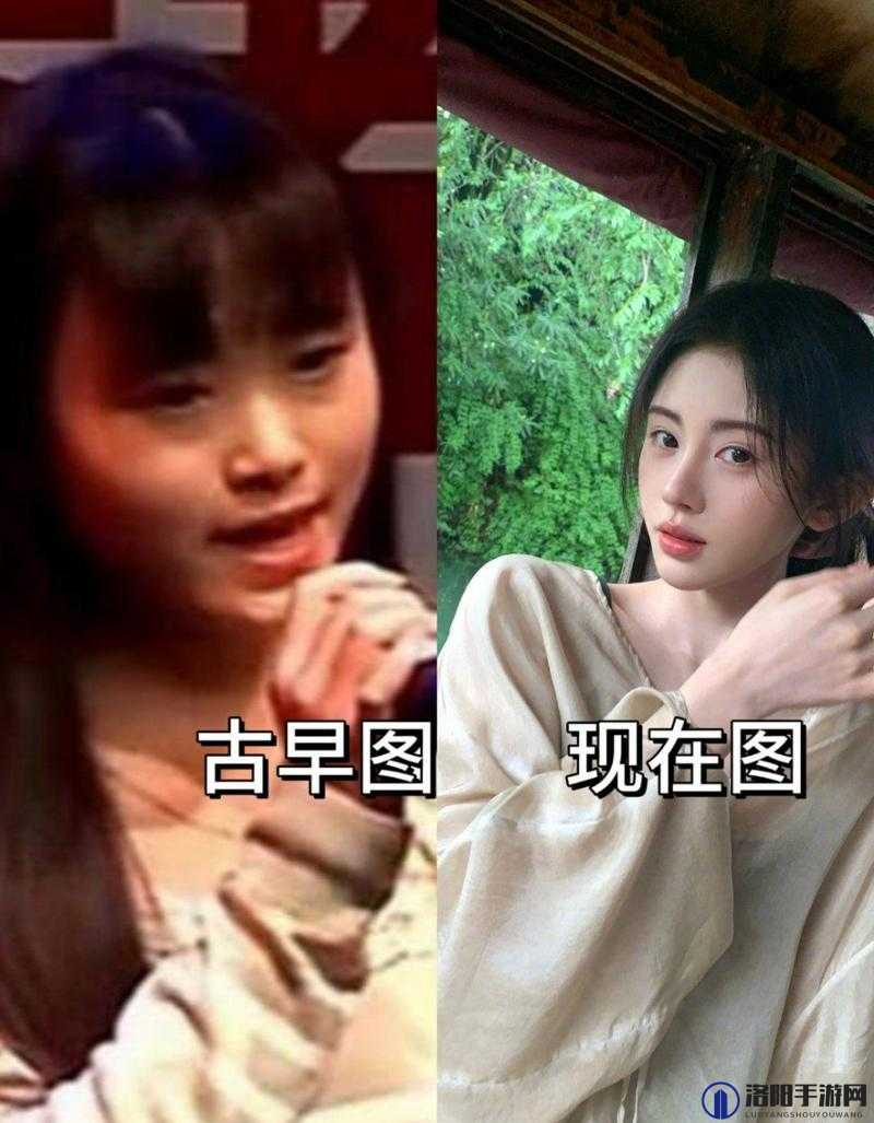 鞠婧祎脱了内裤求被 c：一位明星的私密故事