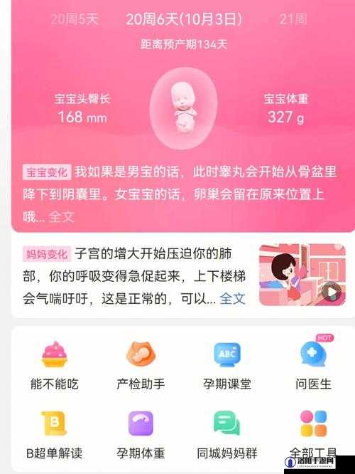 无套内谢孕妇毛片免费看红桃影视：独特刺激的观影体验