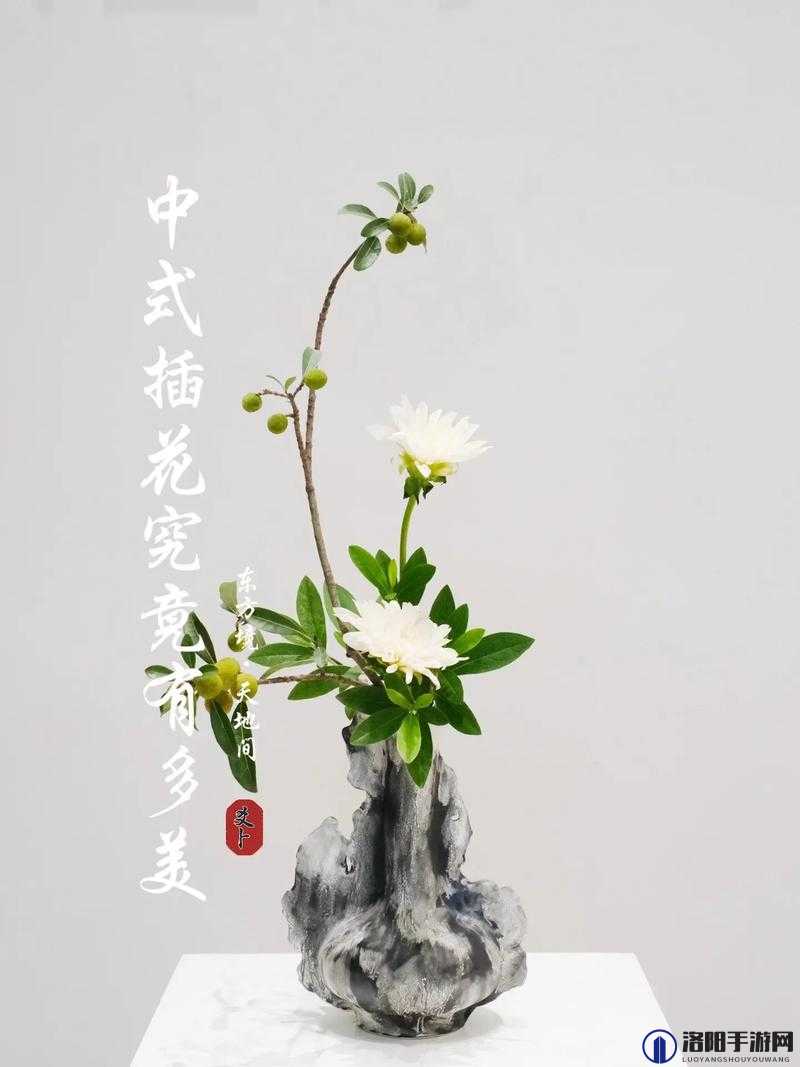 插花弄玉曲径通幽又重新上线啦：探寻别样艺术之美