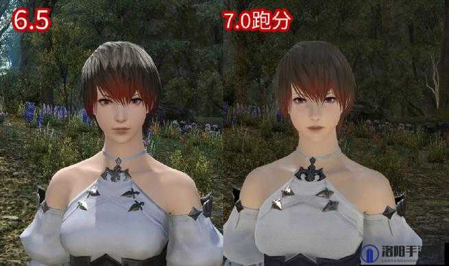 最终幻想14（FF14）跑分软件无法导入捏人数据？详细捏脸数据导入教程