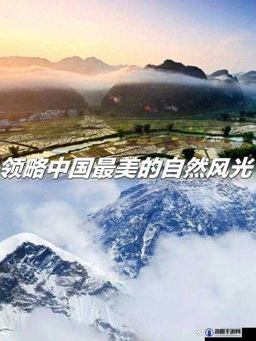 大地资源高清 6：领略高清世界的独特魅力