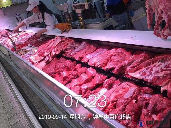 OVO 食肉家庭摄取报告：深入探究家庭饮食结构与健康关联