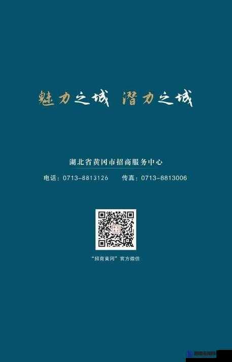 海外黄冈网站推广：打造优质教育资源海外传播平台